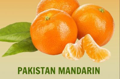 Pakistan Citrus Diplomacy blossoms in Tajikistan
