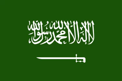 Saudi Arabia’s rising influence in a shifting global order