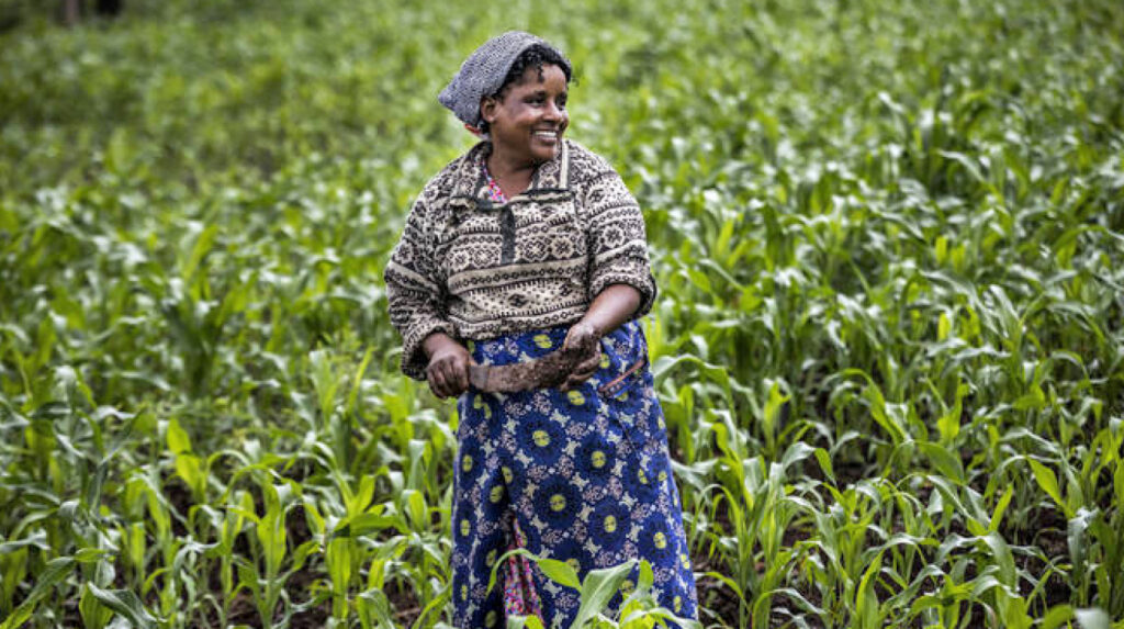 Analyzing Africa's Inclusive Development in Practice