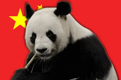 China's Panda Diplomacy as Soft Power Strategy