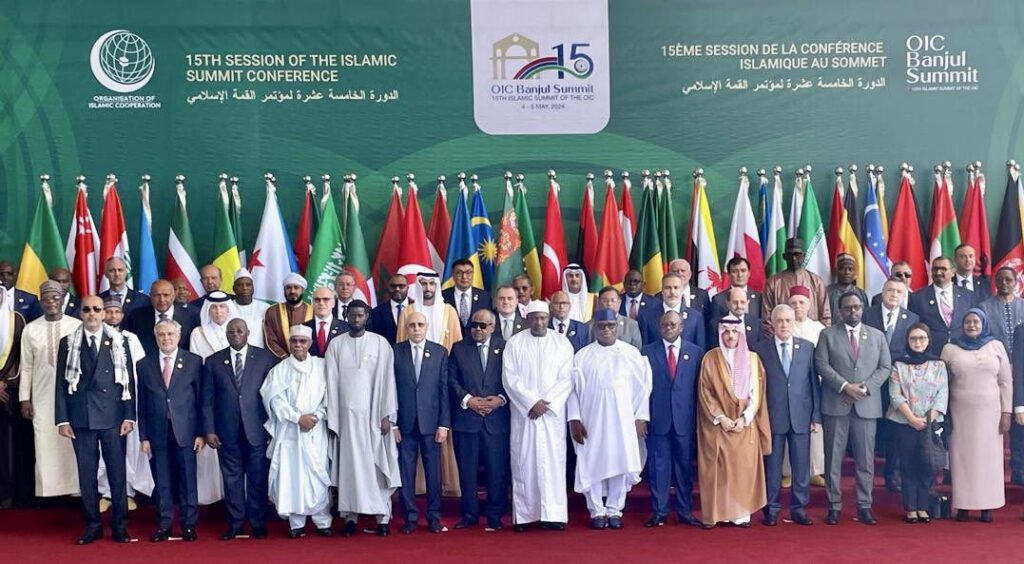 Pakistan's Deputy Prime Minister advocates solidarity at OIC Summit