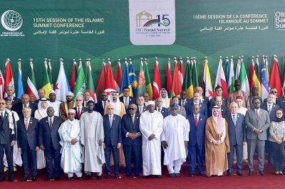 Pakistan’s Deputy Prime Minister advocates solidarity at OIC Summit