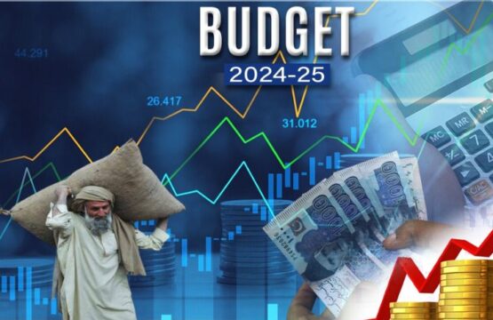 Budget 2024-25- Increased Burden on Pakistani People