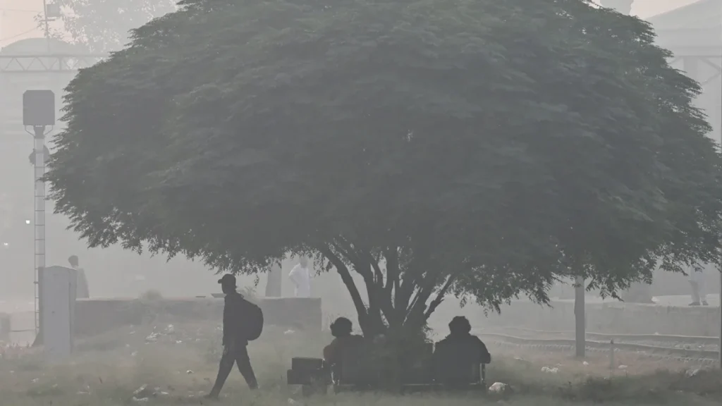 Smog solutions bridging Pakistan India environmental divide