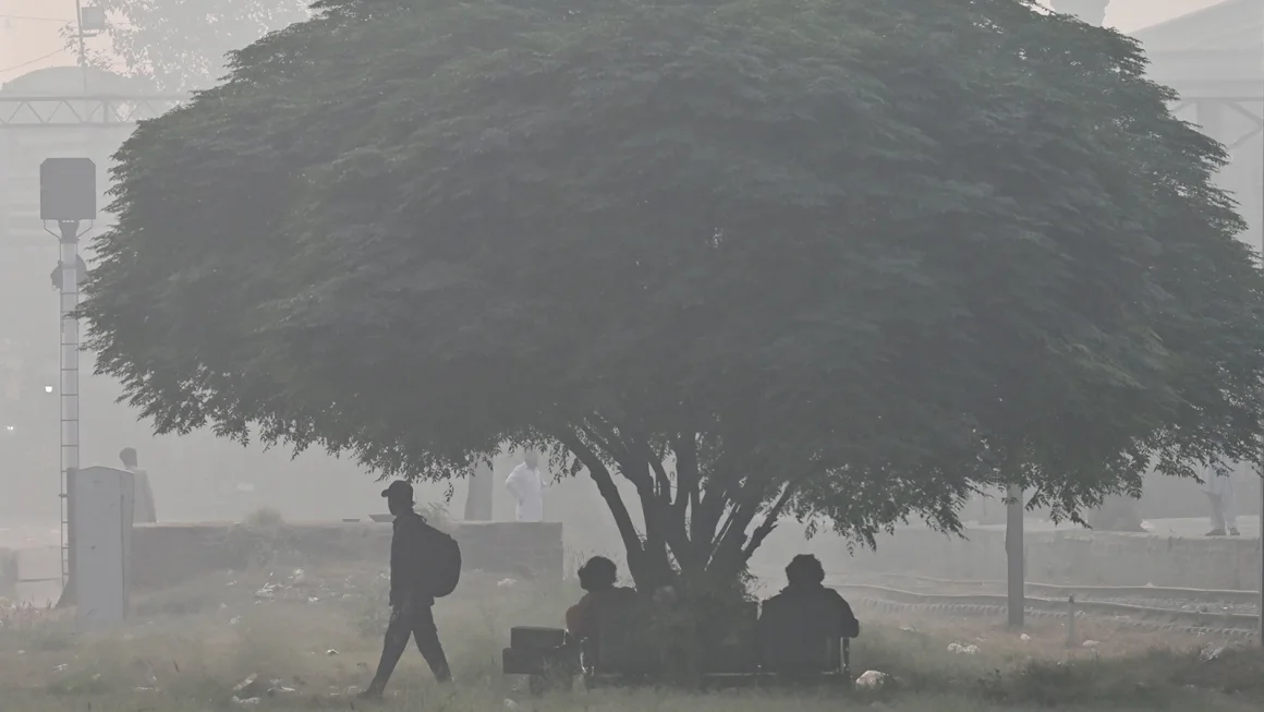 Smog solutions bridging Pakistan India environmental divide
